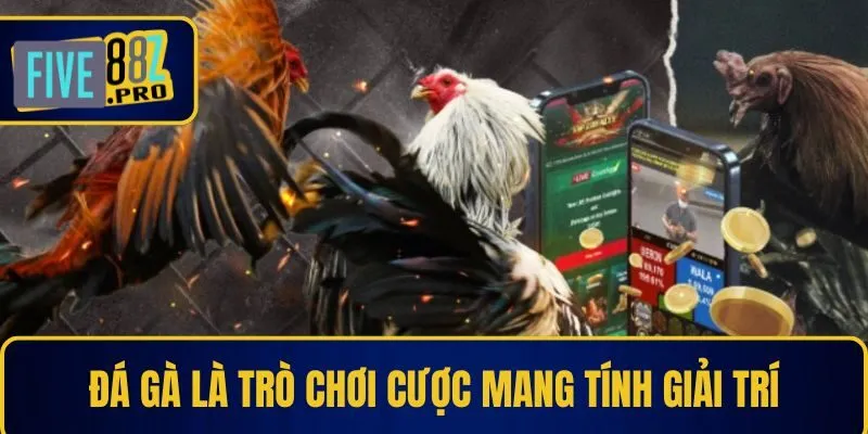 Đá gà là trò chơi cược mang tính giải trí